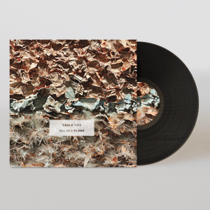All Her Plans - Merge Records - Shop Vinyl, Merch, Music and More