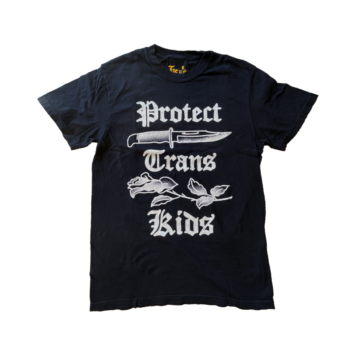Protect Trans Kids T-Shirt - Polyvinyl Records - Shop Vinyl, Merch ...