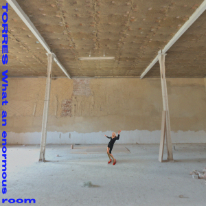 米LP Torres What An Enormous Room MRG827 Merge Records /00260 What an enormous room - Merge Records - Shop Vinyl, Merch