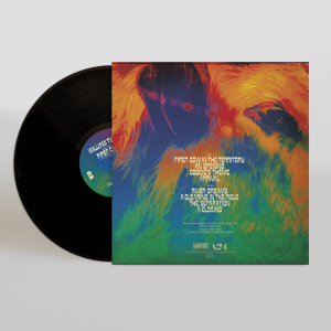 【美品】Cows 1st LP 美品】Cows 1st LP