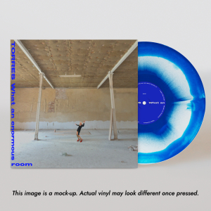 米LP Torres What An Enormous Room MRG827 Merge Records /00260 What an enormous room | TORRES