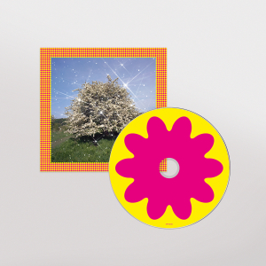 Honey - Merge Records - Shop Vinyl, Merch, Music and More
