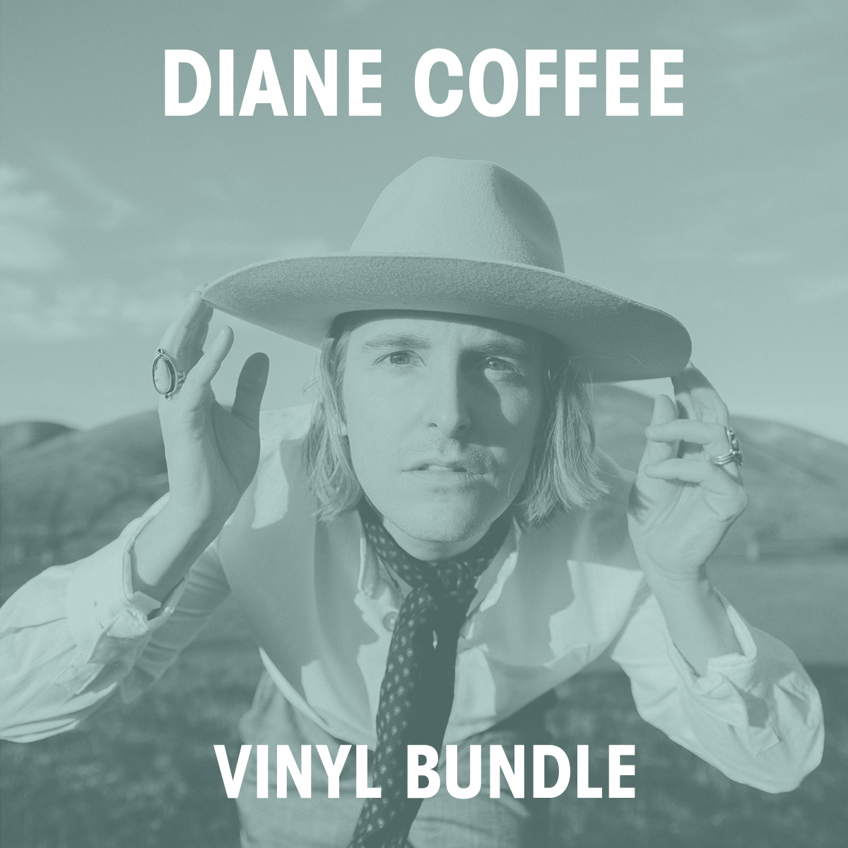 Pick 2 Diane Coffee Vinyl Bundle Polyvinyl Records Shop Vinyl