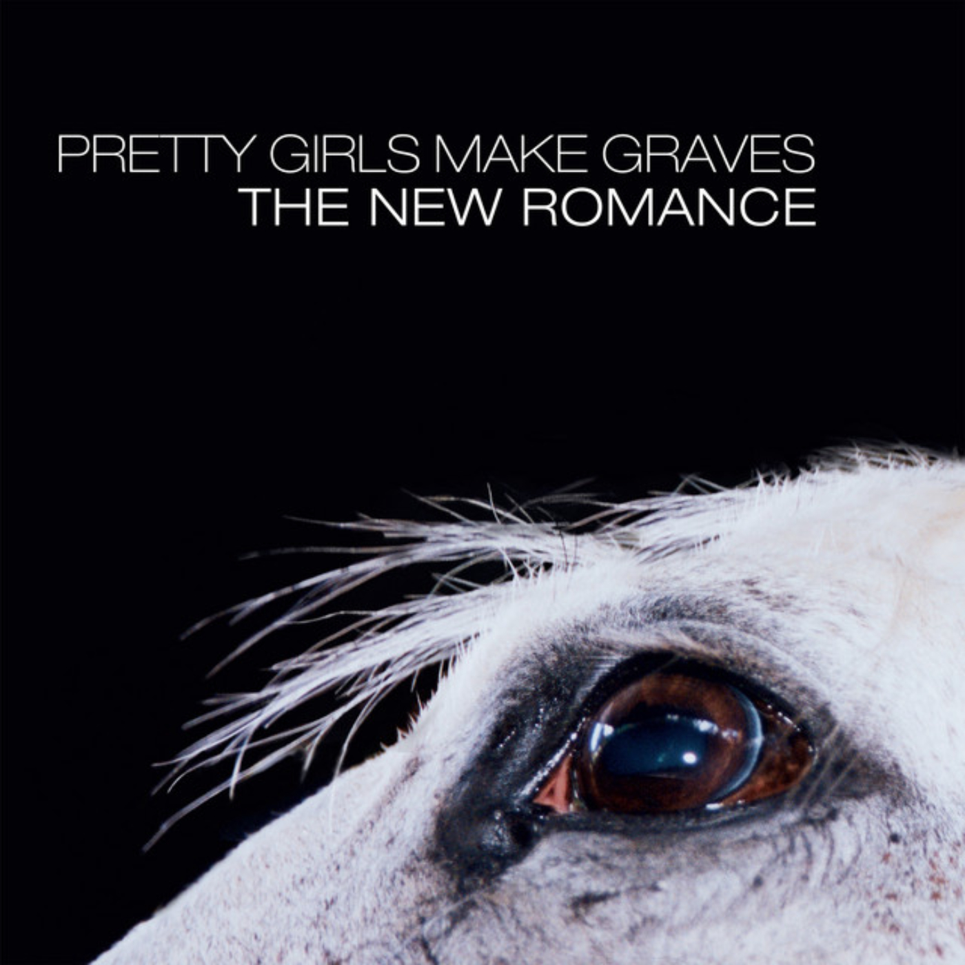 The New Romance - Polyvinyl Records - Shop Vinyl, Merch, Music and More
