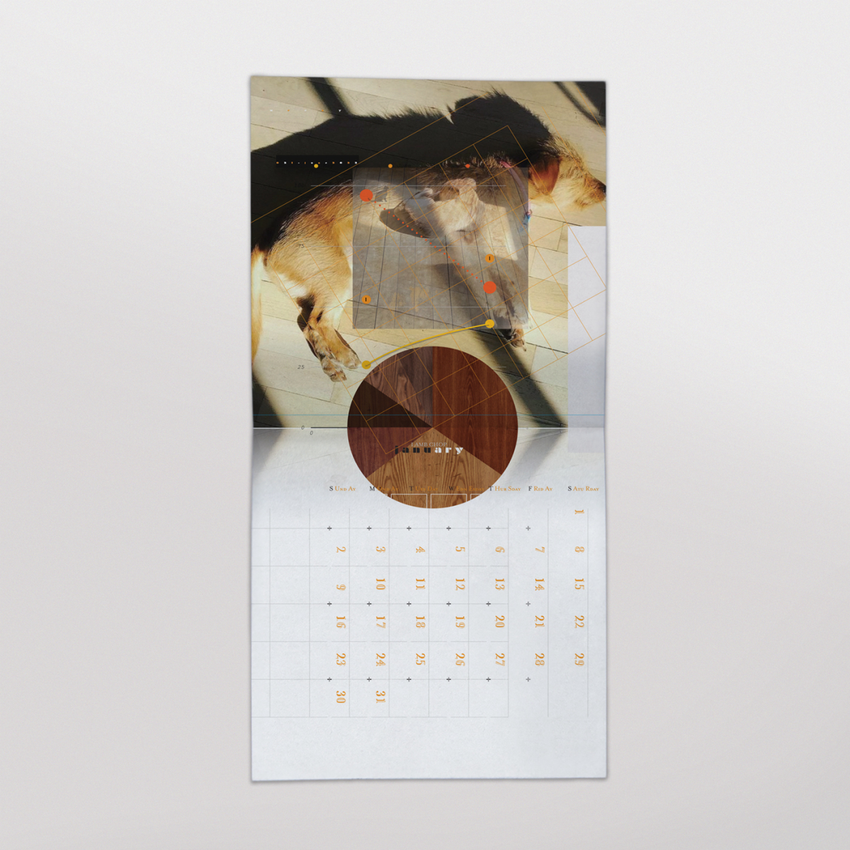 showtunes-dog-calendar-merge-records-shop-vinyl-merch-music-and-more